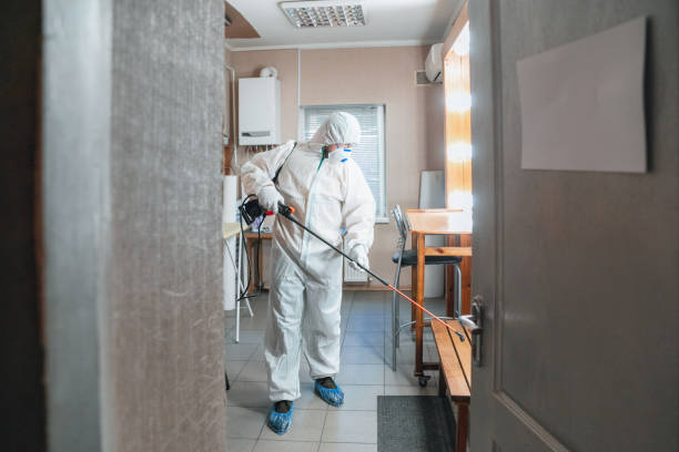  Taylorsville, MS Mold Removal Pros